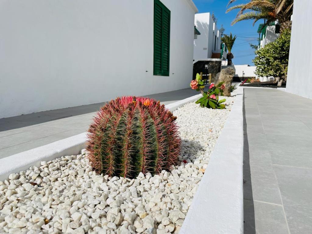 Appartement Casa Adelfa à Puerto del Carmen  Extérieur photo